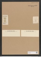 Diatomeae indet. Zeichnungen Sammlung Grunow Nr. 4478 (NHMW-BOT-W0372435)